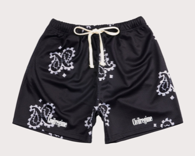 Civil Regime Shorts "Canyon Storm Wash"