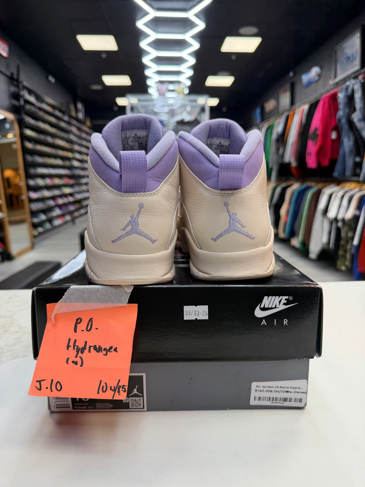 Air Jordan 10 Retro Hydrangeas (Women's)