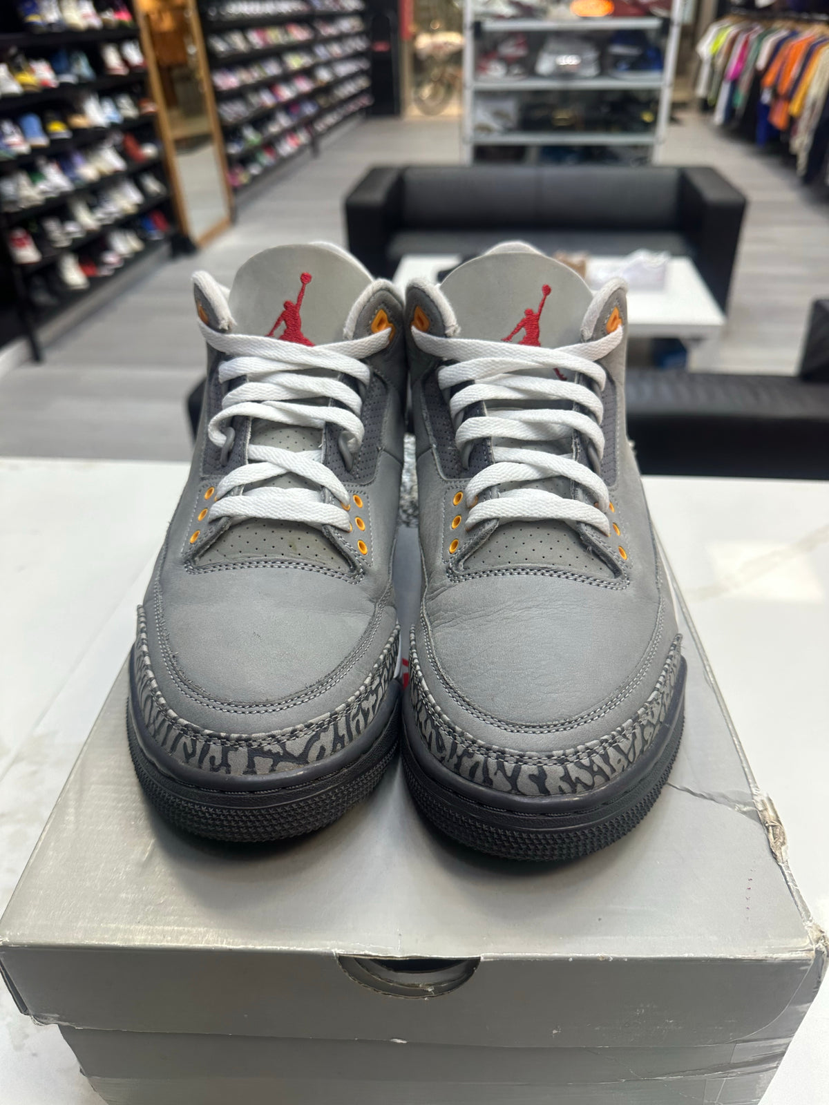 Jordan 3 Retro Cool Grey (2021)