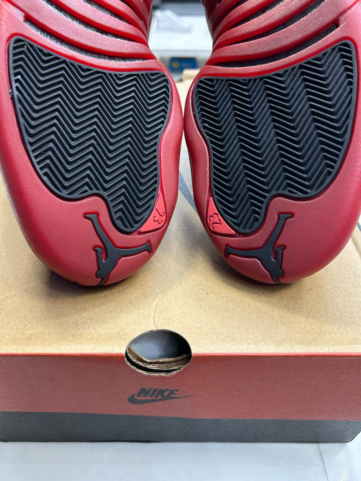 Jordan 12 Retro Flu Game (2025)
