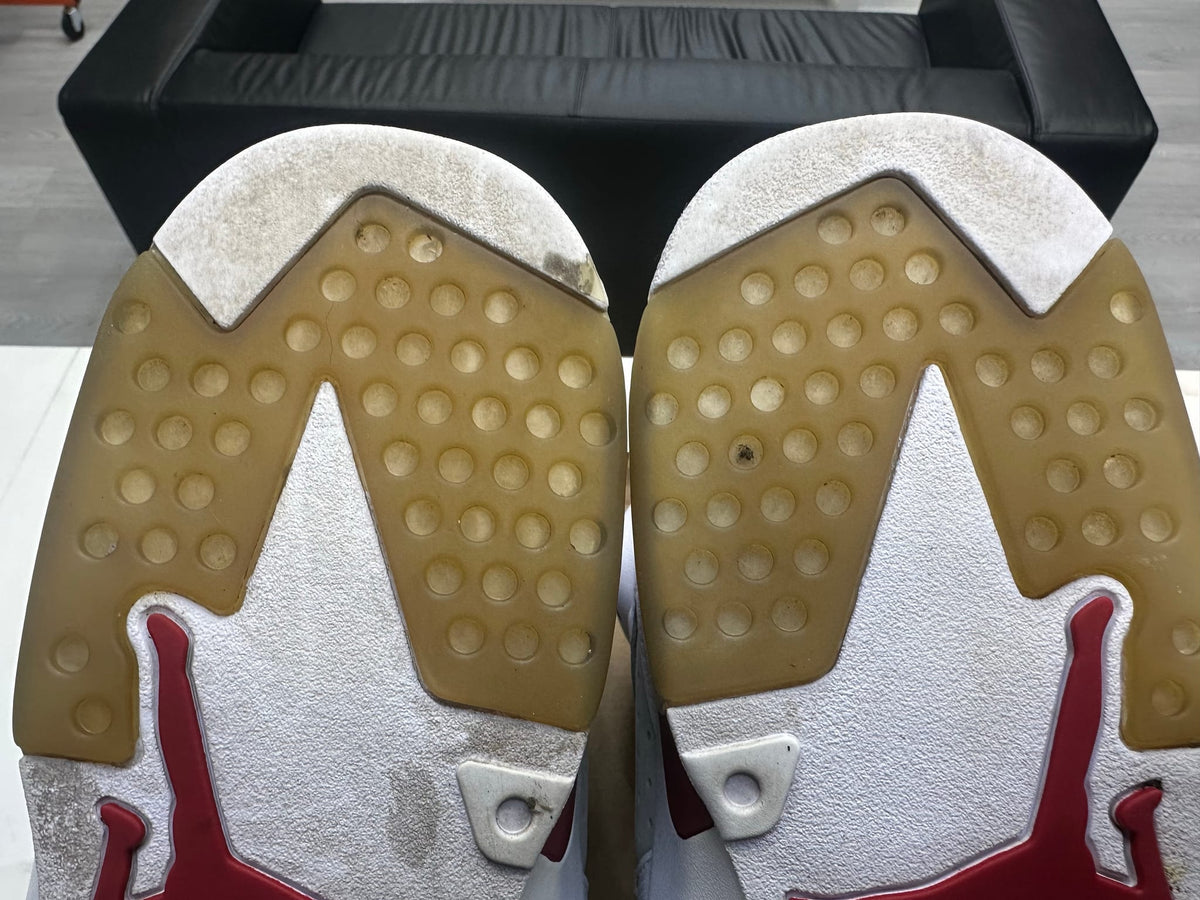 Jordan 6 Retro Alternate Hare