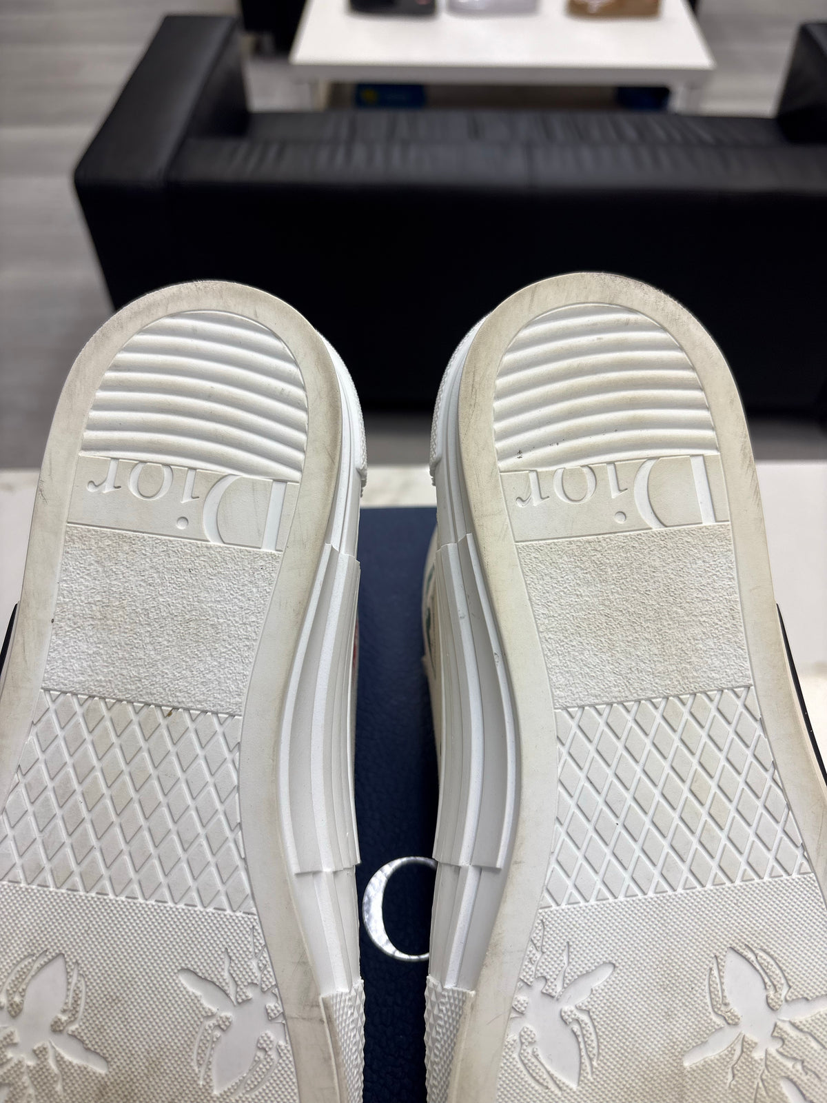 Dior B23 High Top AsteroDior: White
