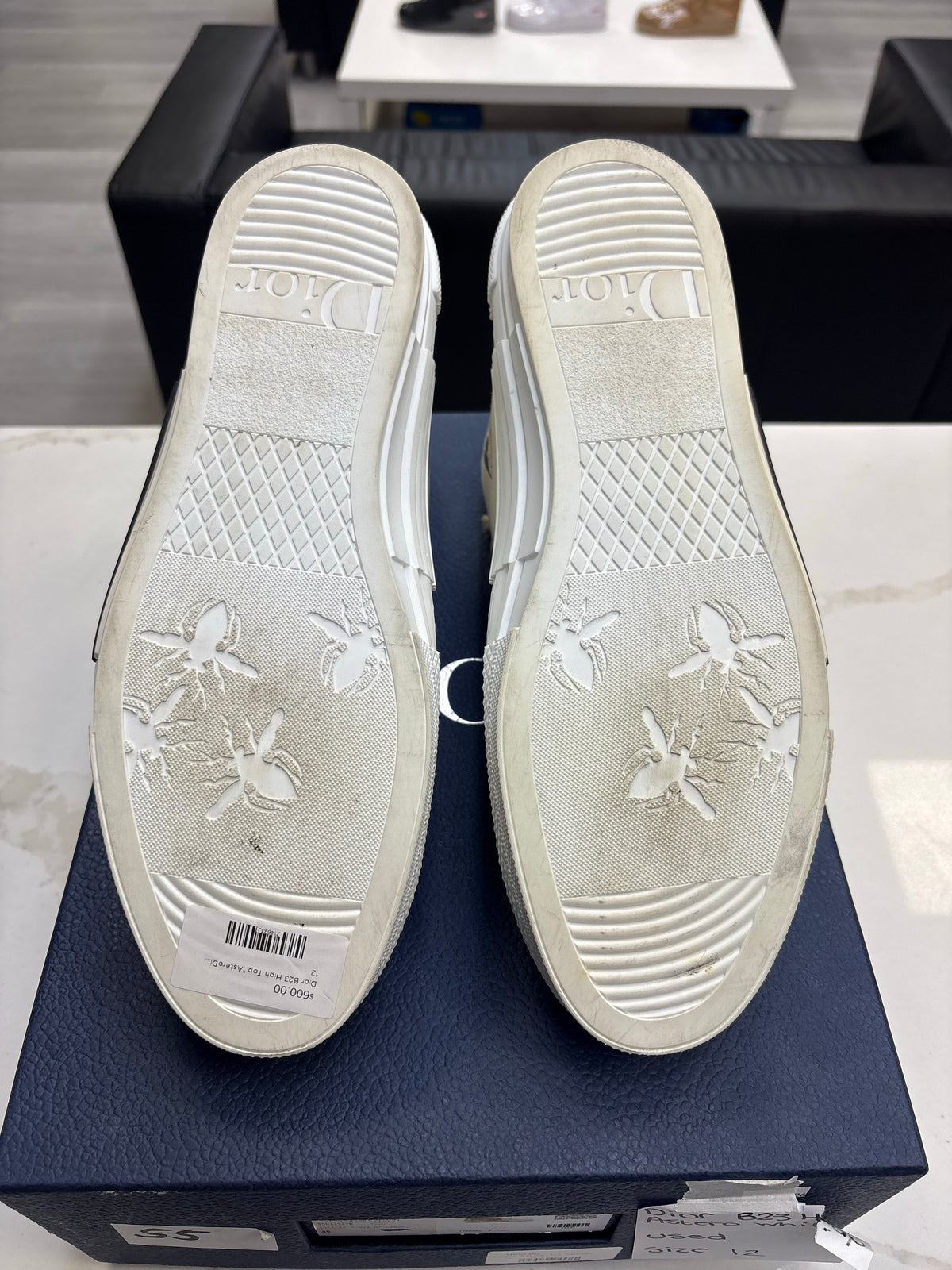 Dior B23 High Top AsteroDior: White