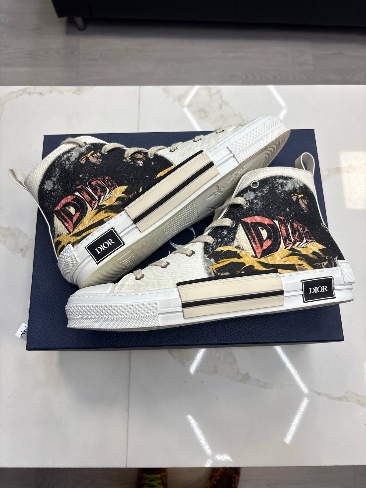 Dior B23 High Top AsteroDior: White