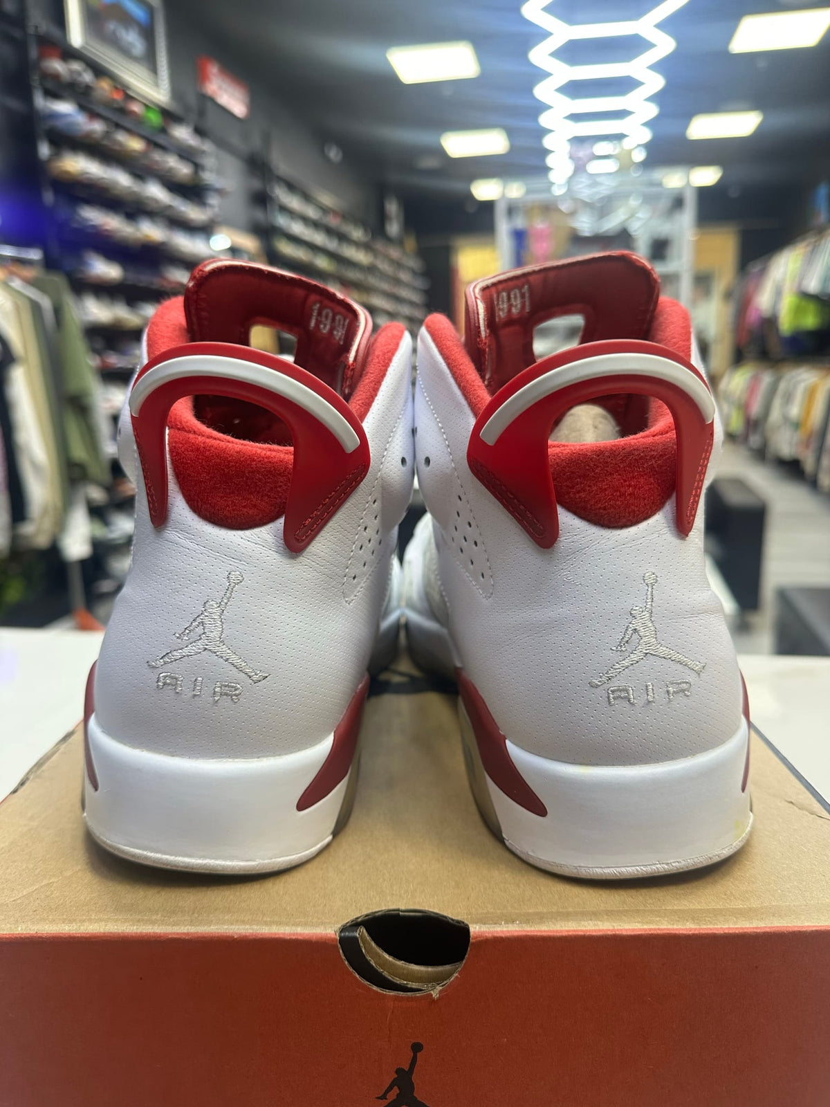 Jordan 6 Retro Alternate Hare