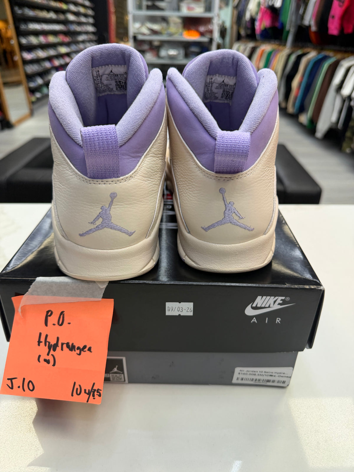 Air Jordan 10 Retro Hydrangeas (Women's)