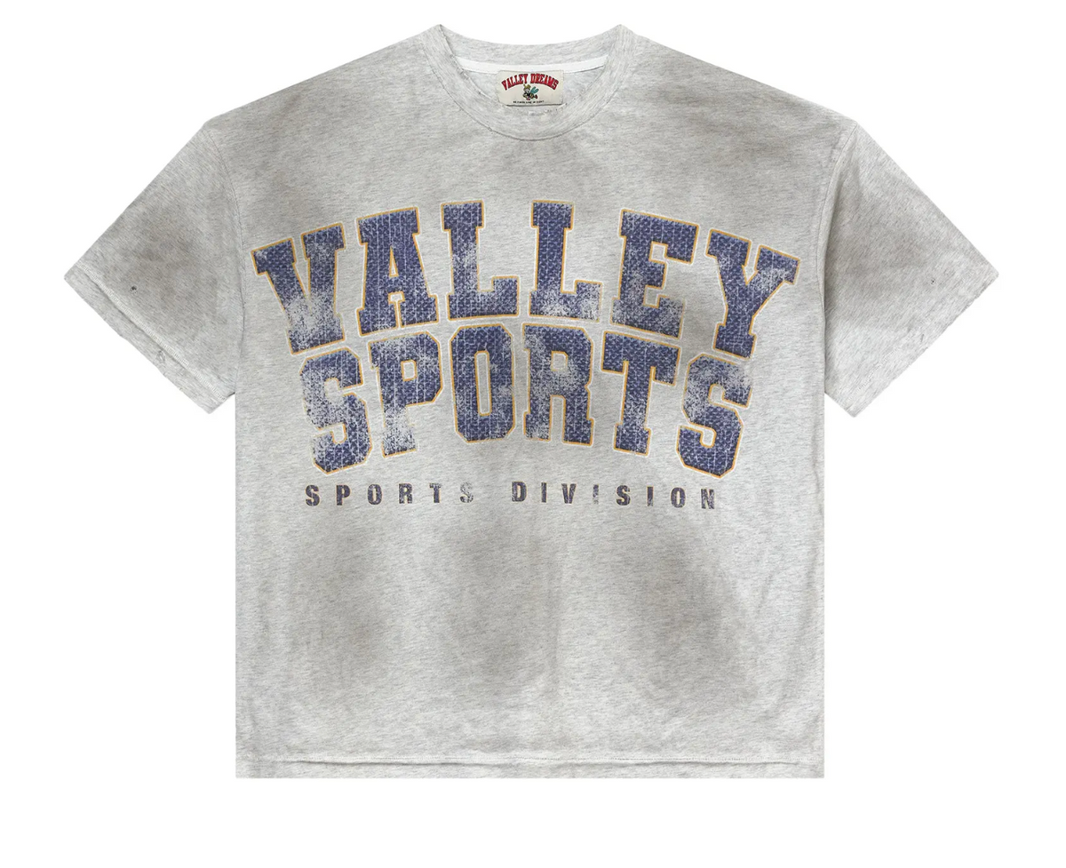 Vale Forever Sports Division Tee Shirty Gym Grey