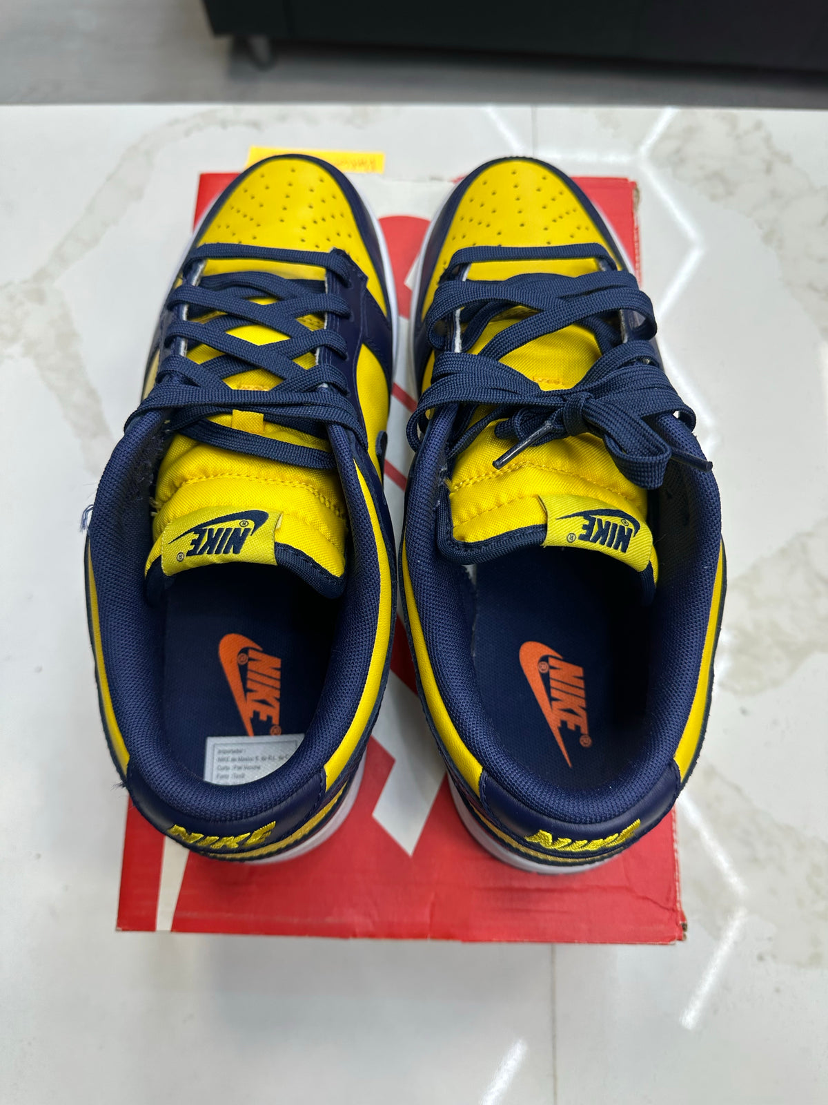 Nike Dunk Low Michigan (2021)