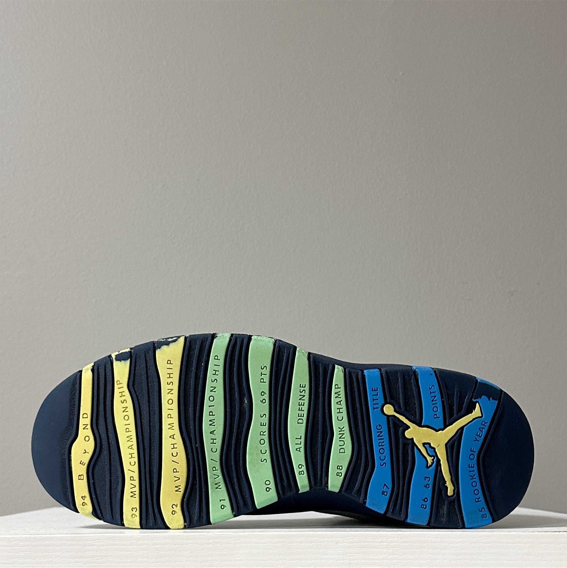 Air Jordan 10 "Rio" 2016 (pre-owned)